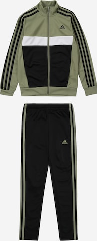 ADIDAS PERFORMANCE Trainingspak 'Tiberio' in Groen: voorkant