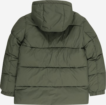 TOMMY HILFIGER Winterjas in Groen