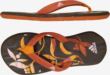 ADIDAS PERFORMANCE Sandals & High-Heeled Sandals in 37 in Mixed colors: front