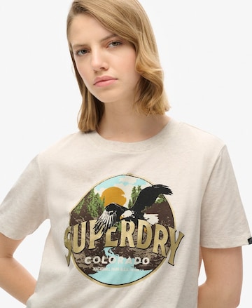 Superdry Shirt in Beige