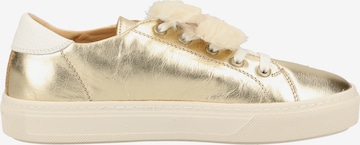 Darkwood Sneaker in Gold