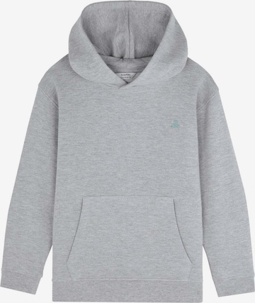 Scalpers Sweatshirt in Grau: Vorderseite