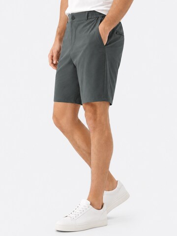 ALLTHEMEN Regular Traditional Pants 'Luftzug' in Grey