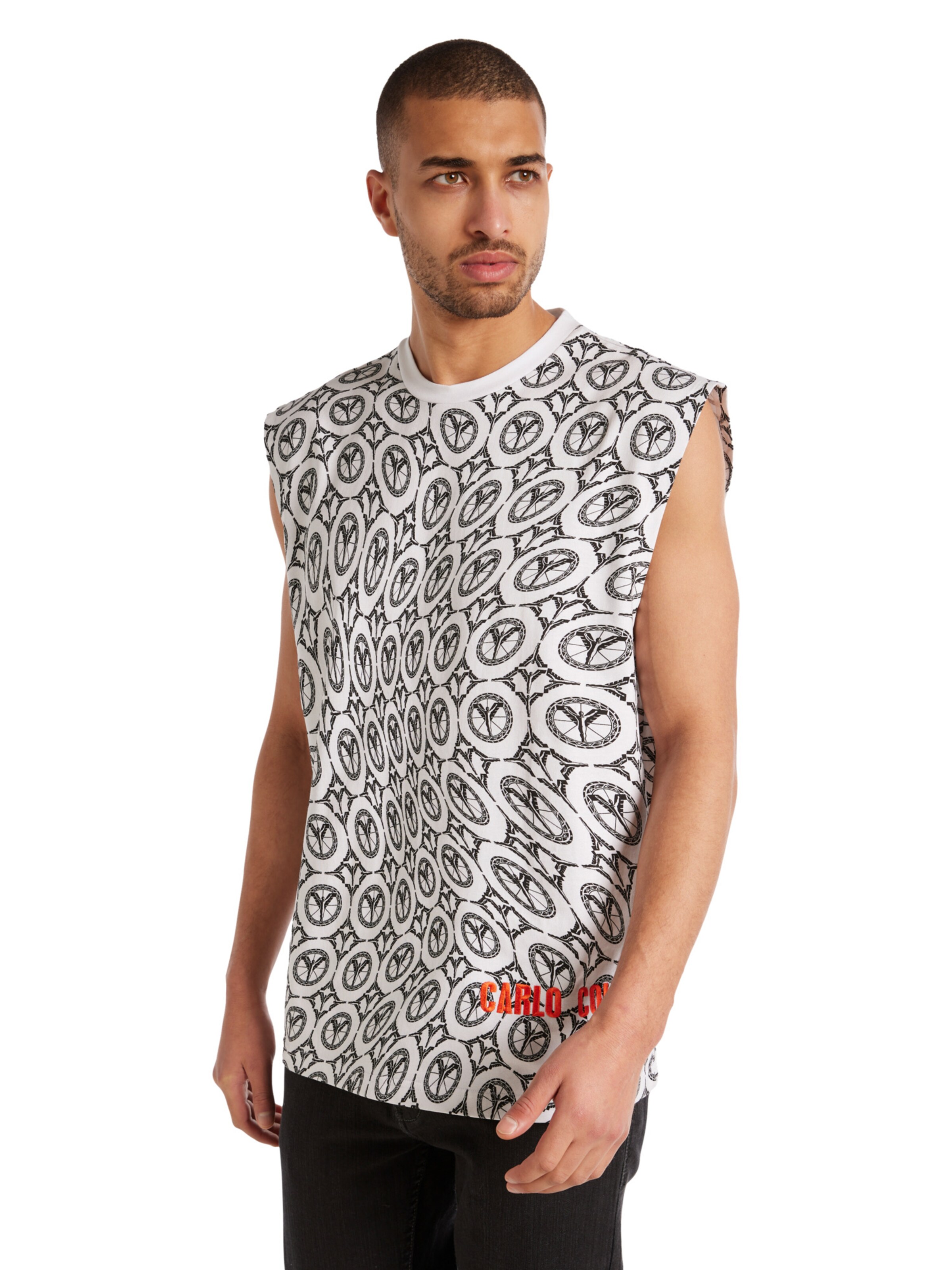 T-Shirt Carlo Colucci en mélange de couleurs : devant