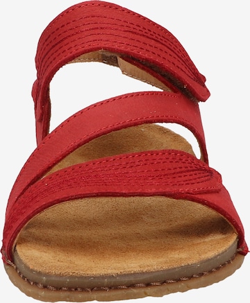 EL NATURALISTA Sandals in Red