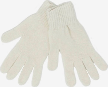 SAMAYA Full Finger Gloves 'NOSH' in Beige: front