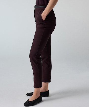 Ipekyol Regular Broek in Bruin