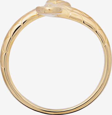 caï Ring in Gold