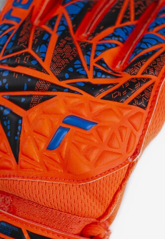 REUSCH Athletic Gloves 'Attrakt Starter Solid Finger Support' in Orange