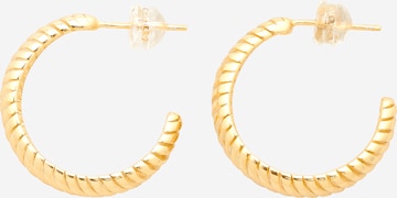 Boucles d'oreilles 'Olea' EDITED en or : devant