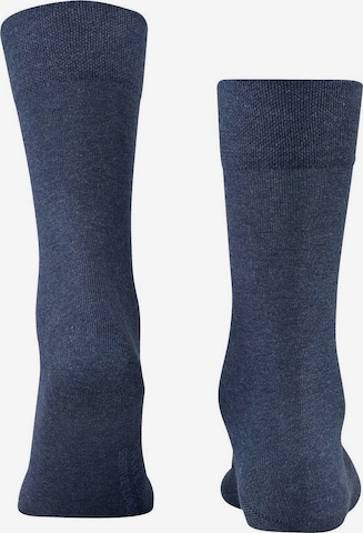 FALKE Socken in Blau