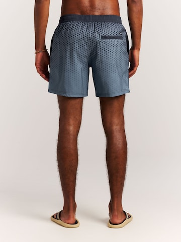 PROTEST Board Shorts 'PRTNorthaw' in Blue