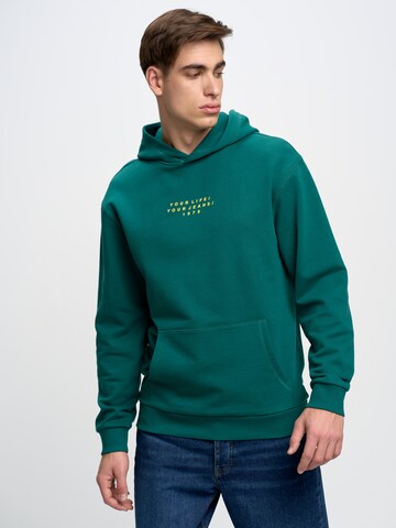 BIG STAR Sweatshirt ' MARTIFAL ' in Green: front