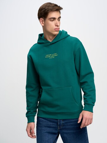 BIG STAR Sweatshirt ' MARTIFAL ' in Groen: voorkant