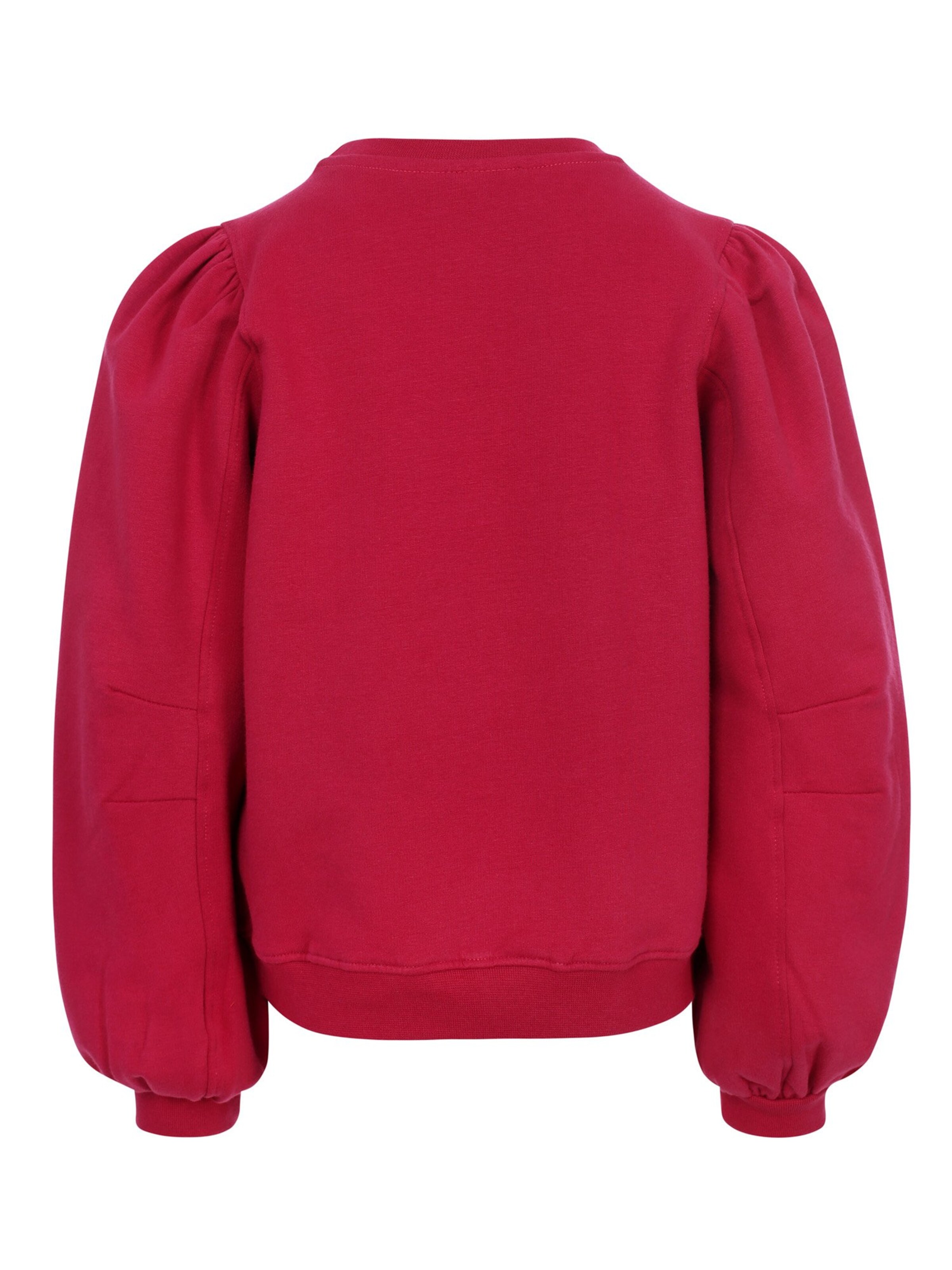 Looxs Revolution Sweatshirt in Roze