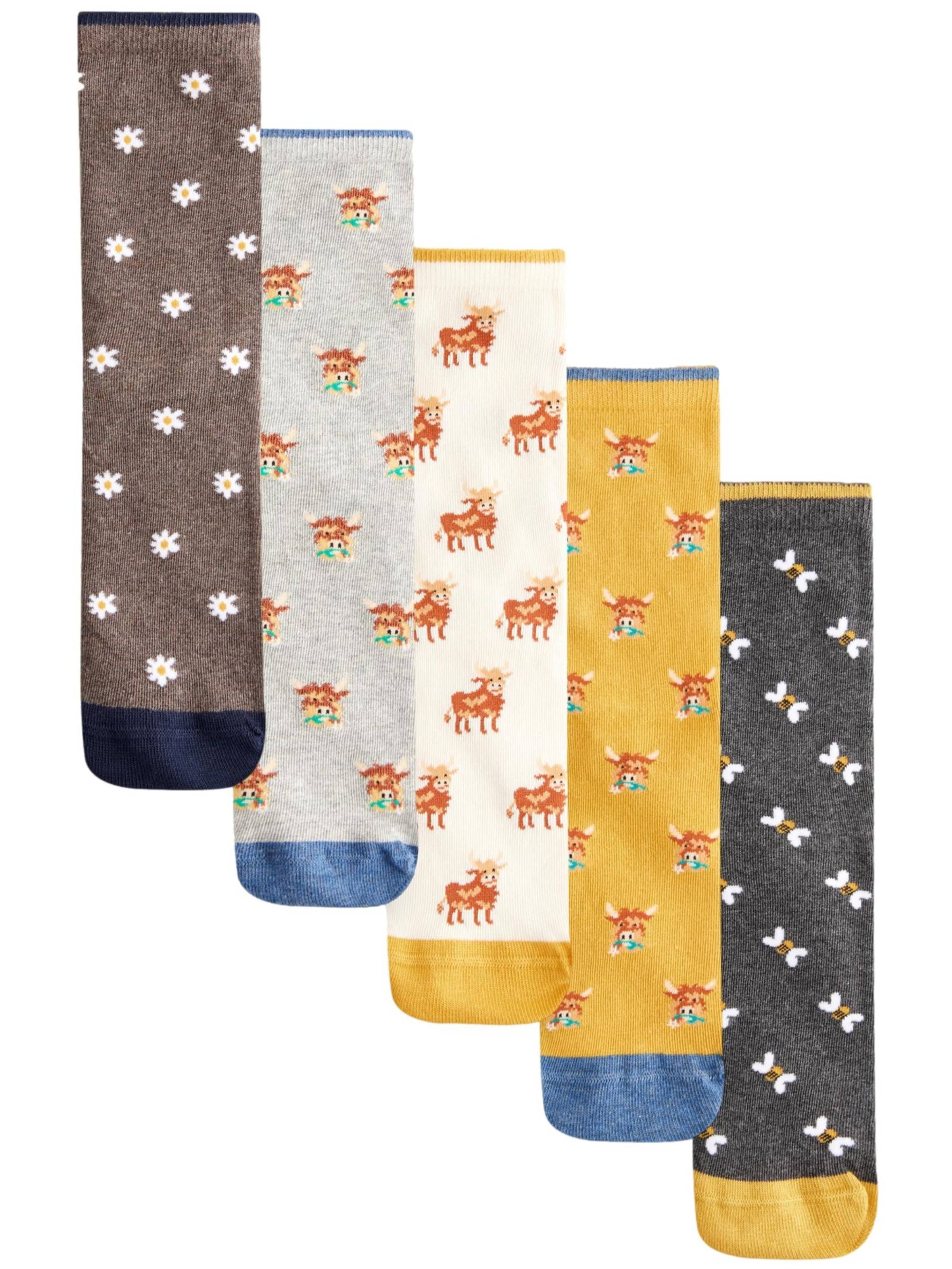 Next Socks in Mixed colours: front