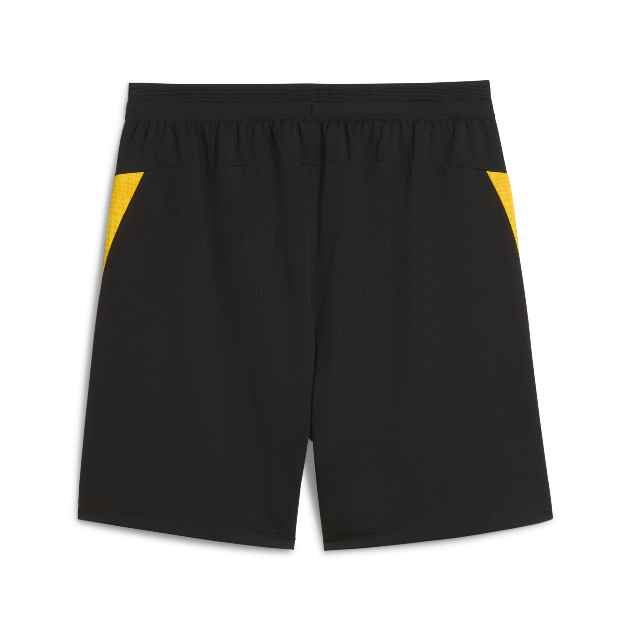 PUMA Regular Sportshorts 'Borussia Dortmund' in Schwarz