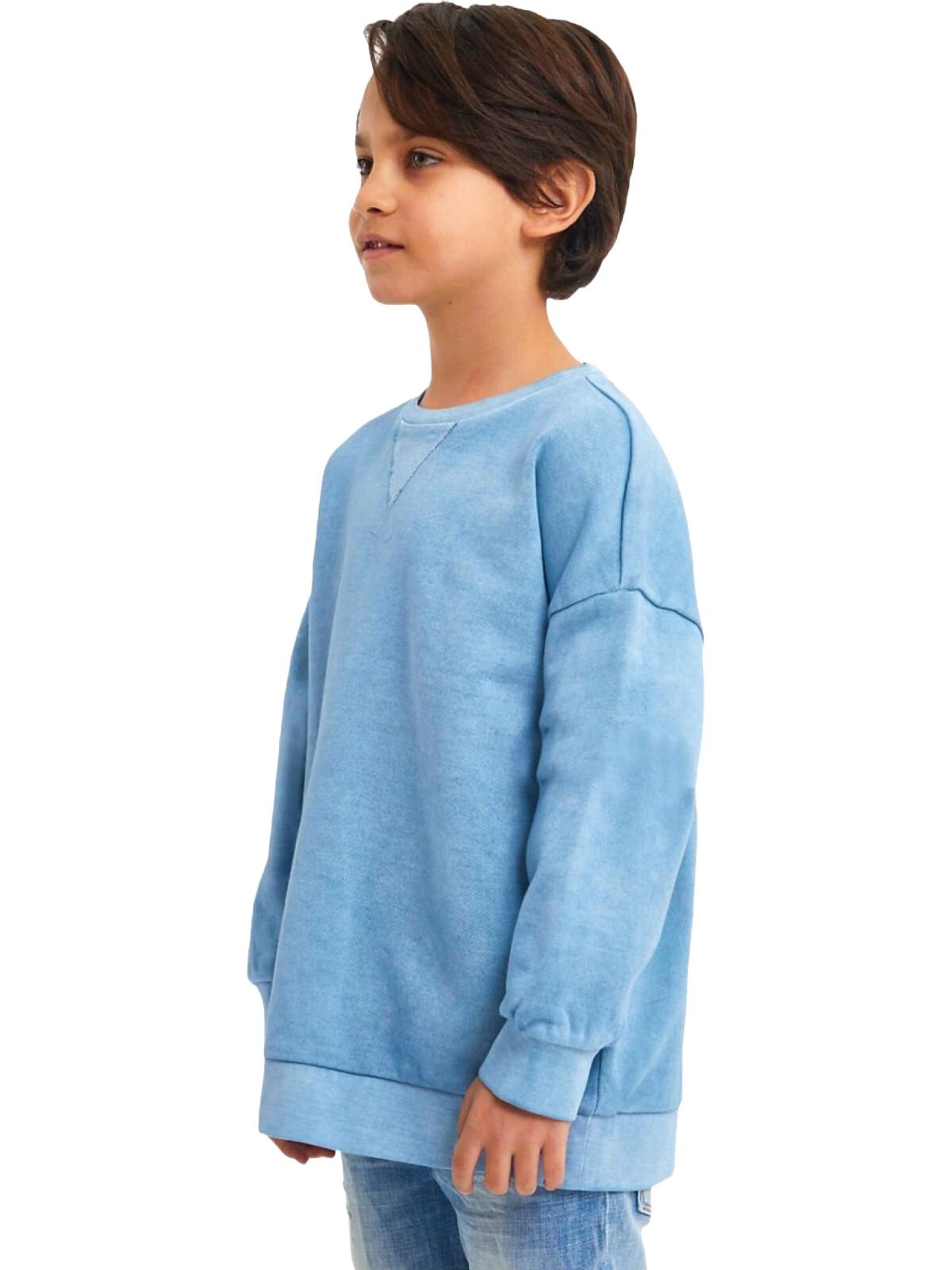 LTB Jeans Sweatshirt 'Basic'‌‌ in Blau