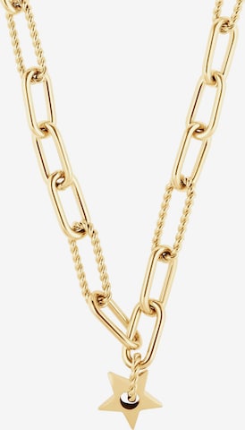 Guido Maria Kretschmer Jewellery Necklace in Gold: front