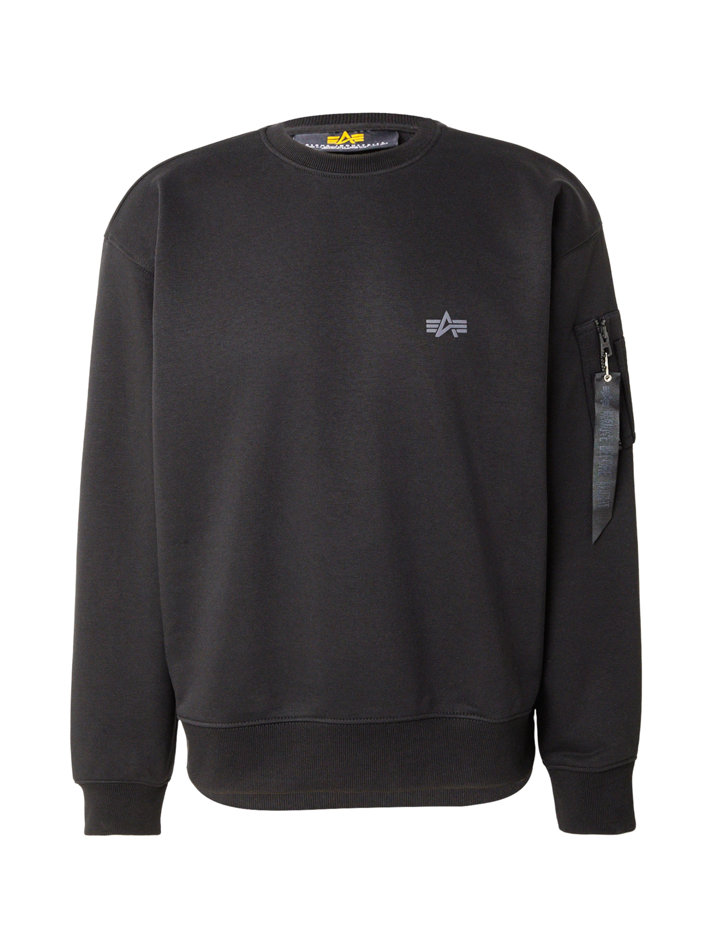 ALPHA INDUSTRIES Sweatshirt 'DTM' i svart: framsida