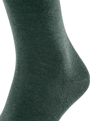FALKE Knee High Socks 'Airport' in Green
