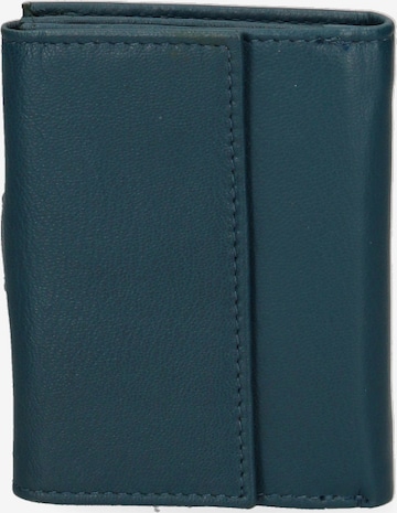 Sergio Valentini Wallet in Green: front