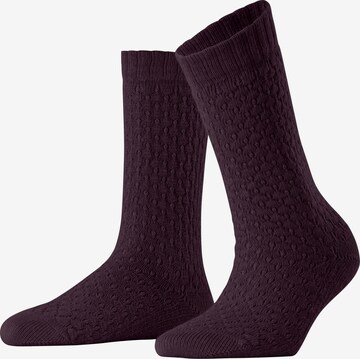BURLINGTON Socken 'Orkney' in Lila: Vorderseite
