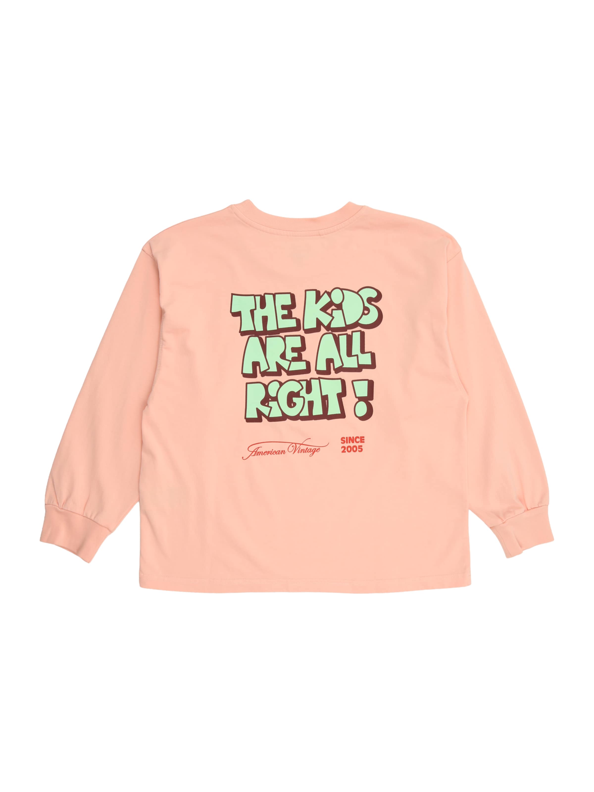 Tricou 'FIZVALLEY' de la AMERICAN VINTAGE pe portocaliu