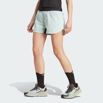 ADIDAS TERREX Regular Sportshorts 'Agravic' in Blau: predná strana