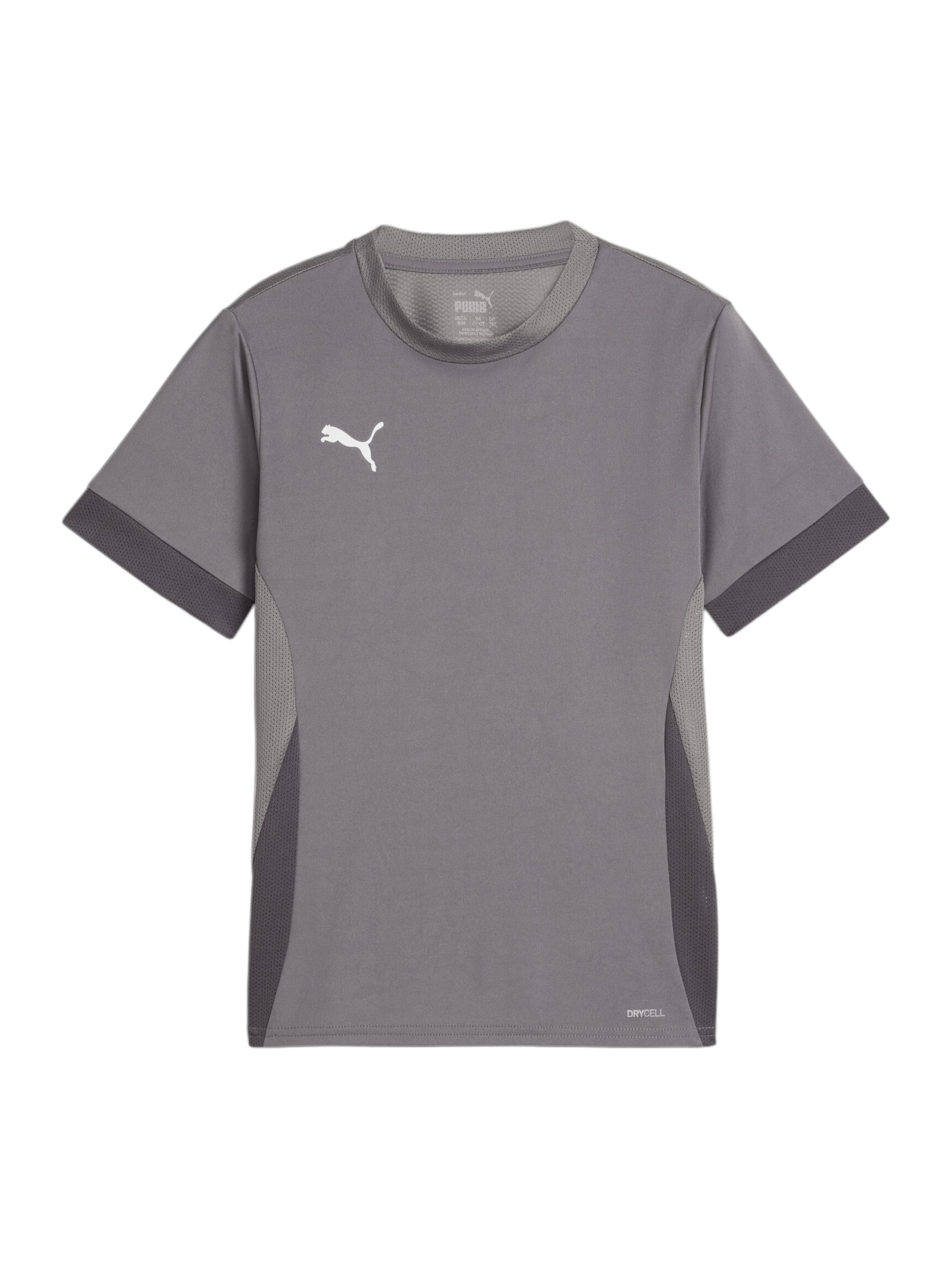 PUMA Funktionsshirt in Grau: Vorderseite