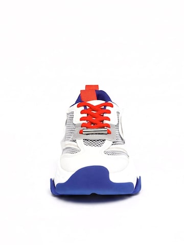 STEVE MADDEN Sneakers laag 'Womens Possession Blue / White Lace-Up Low-Profile Shoes' in Gemengde kleuren