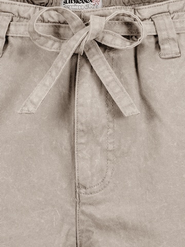 Sublevel Regular Pants in Brown