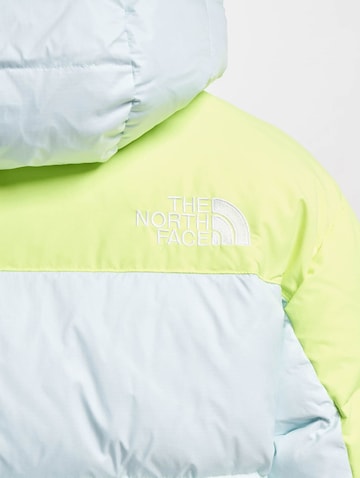 Regular fit Giacca invernale 'Himalayan' di THE NORTH FACE in grigio