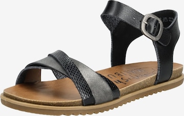 Sandalo con cinturino di Blowfish Malibu in nero: frontale