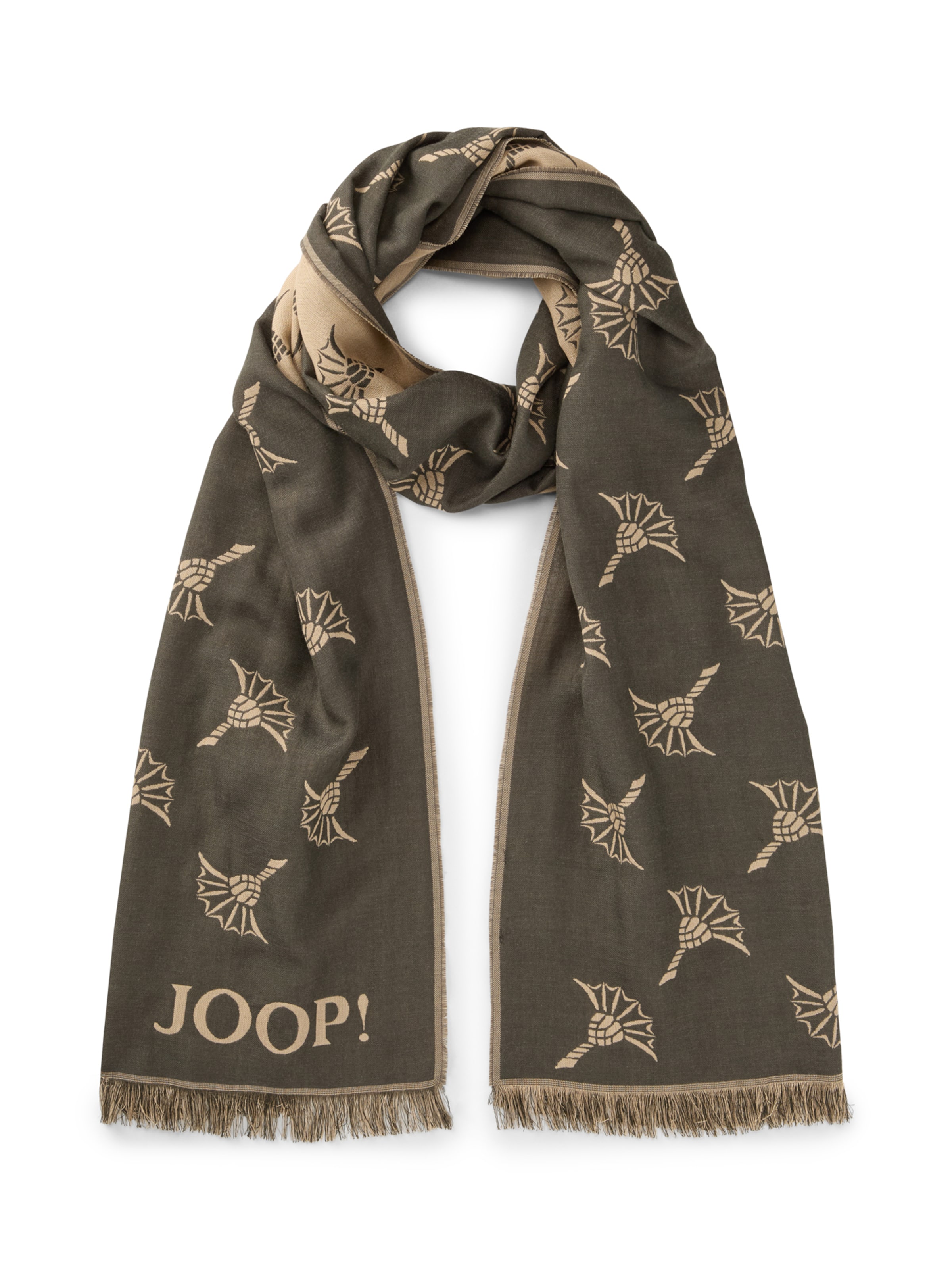 JOOP! Scarf 'Feris' in Green: front
