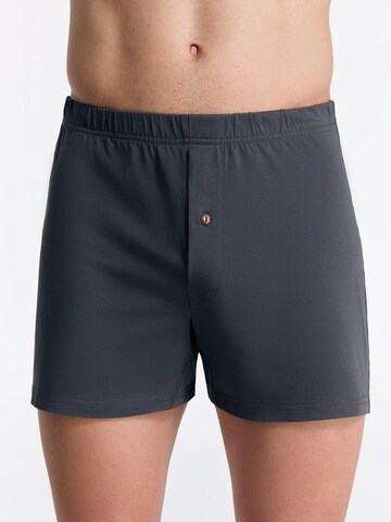 Albero Natur Boxer shorts 'Bio-Baumwoll-Boxershorts mit Holzknopf - 3er Pack' in Grey: front