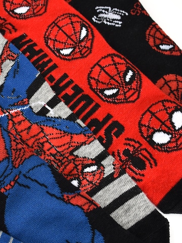 SPIDERMAN Socks 'Marvel' in Mixed colors