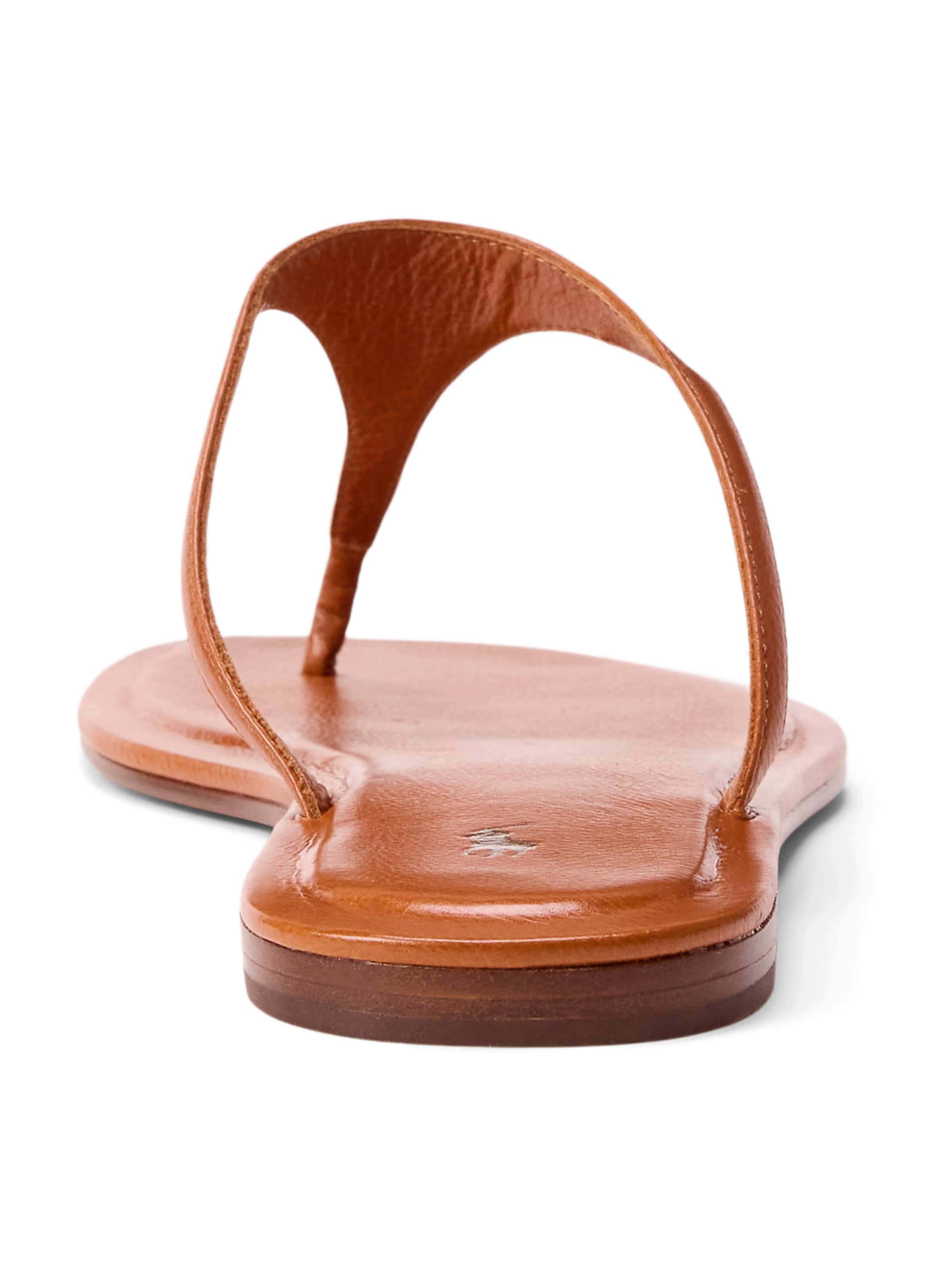 Tongs 'PLY' Polo Ralph Lauren en marron