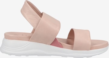 ILC Sandalen met riem in Roze