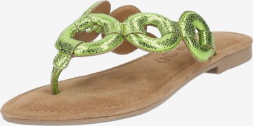 LAZAMANI T-Bar Sandals in Green: front