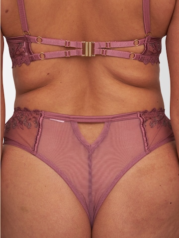 DOUVOS CONTOUR String in Gold