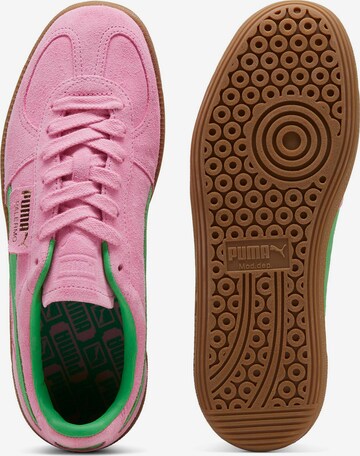 PUMA Sneaker 'Palermo Special' in Pink