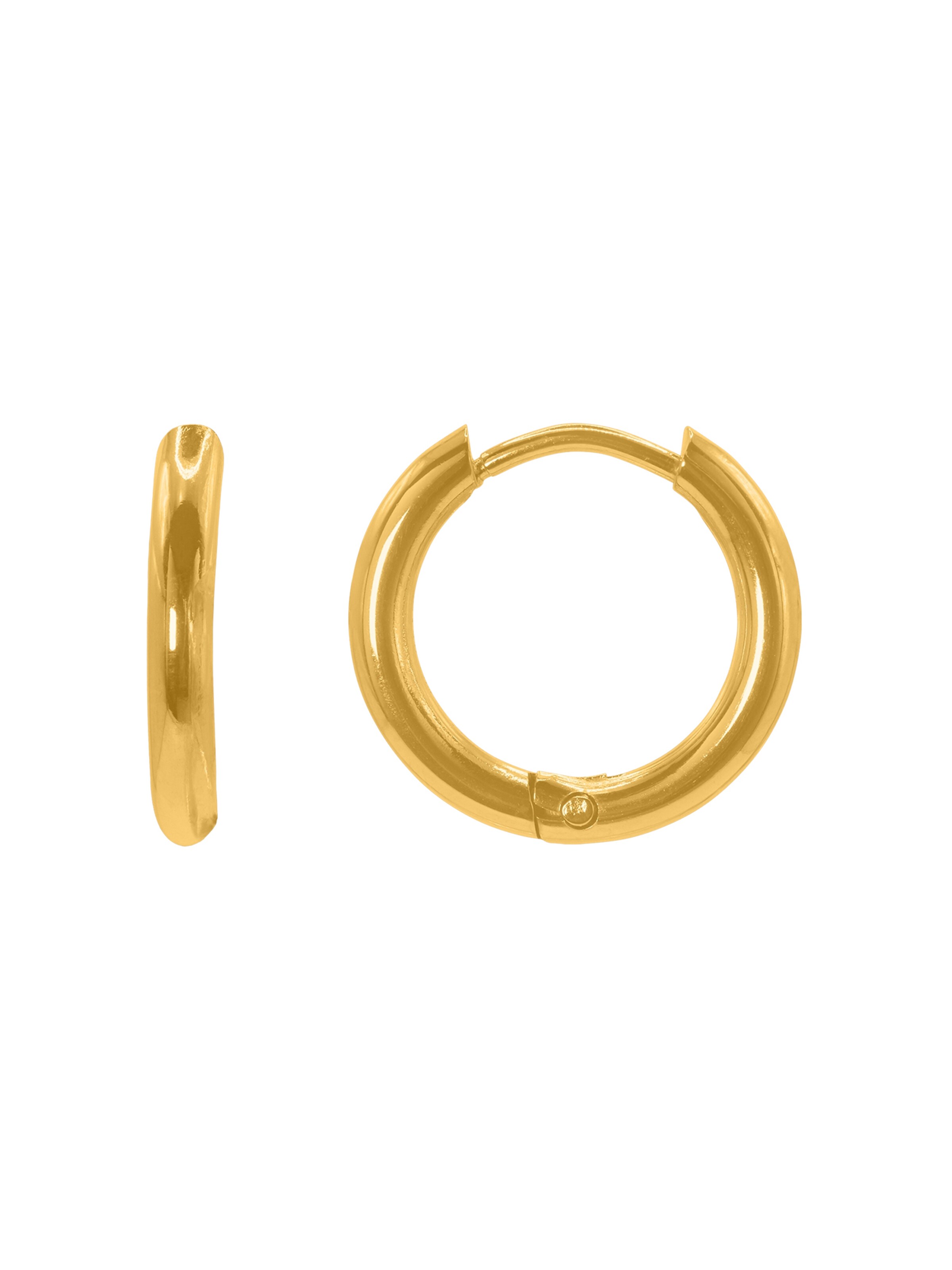 Heideman Oorbel 'Regul' in Goud