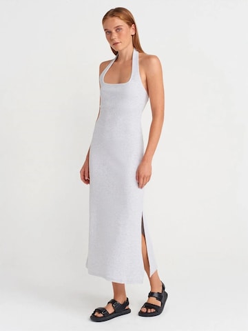 Dilvin - Vestido em cinzento