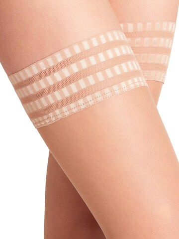 FALKE Fine Stockings 'Pure Matt' in Pink