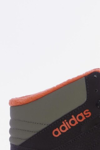 ADIDAS NEO Sneakers & Trainers in 39,5 in Brown