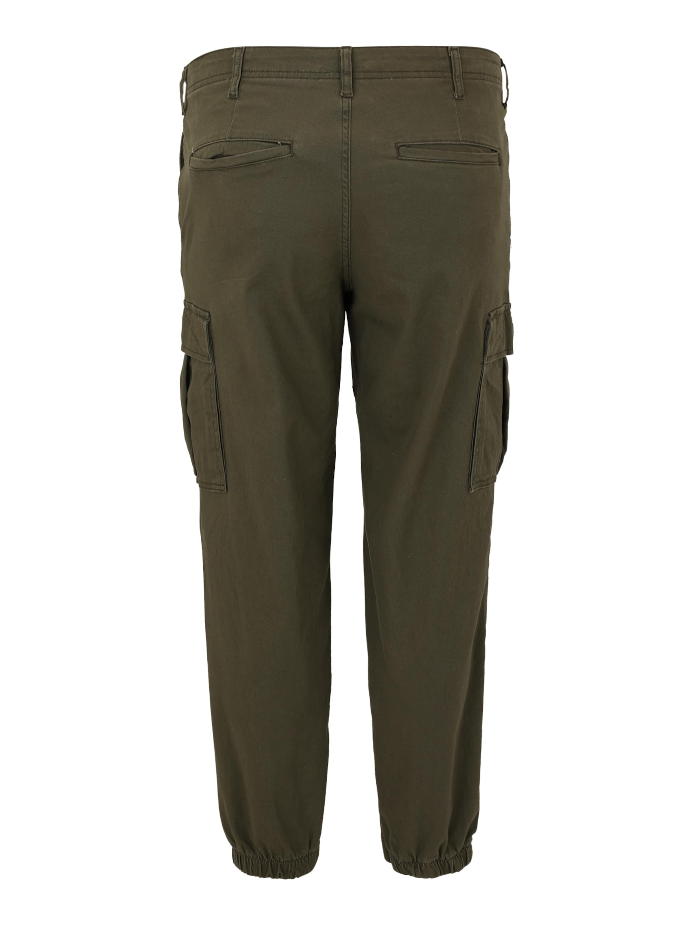 Jack & Jones Plus Обычный Брюки-карго 'JPSTKANE JJJONNIE' в Зеленый