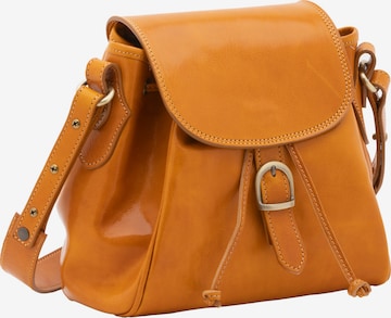 Viola Castellani Pouch in Orange: front