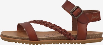 Blowfish Malibu Strap Sandals 'Marlah' in Brown