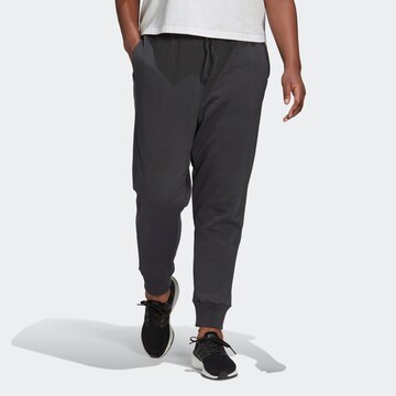 ADIDAS SPORTSWEAR Tapered Workout Pants in Grey: front